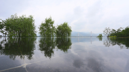 杭州園林：特色蘊于細節(jié)，匠心鑄就精品