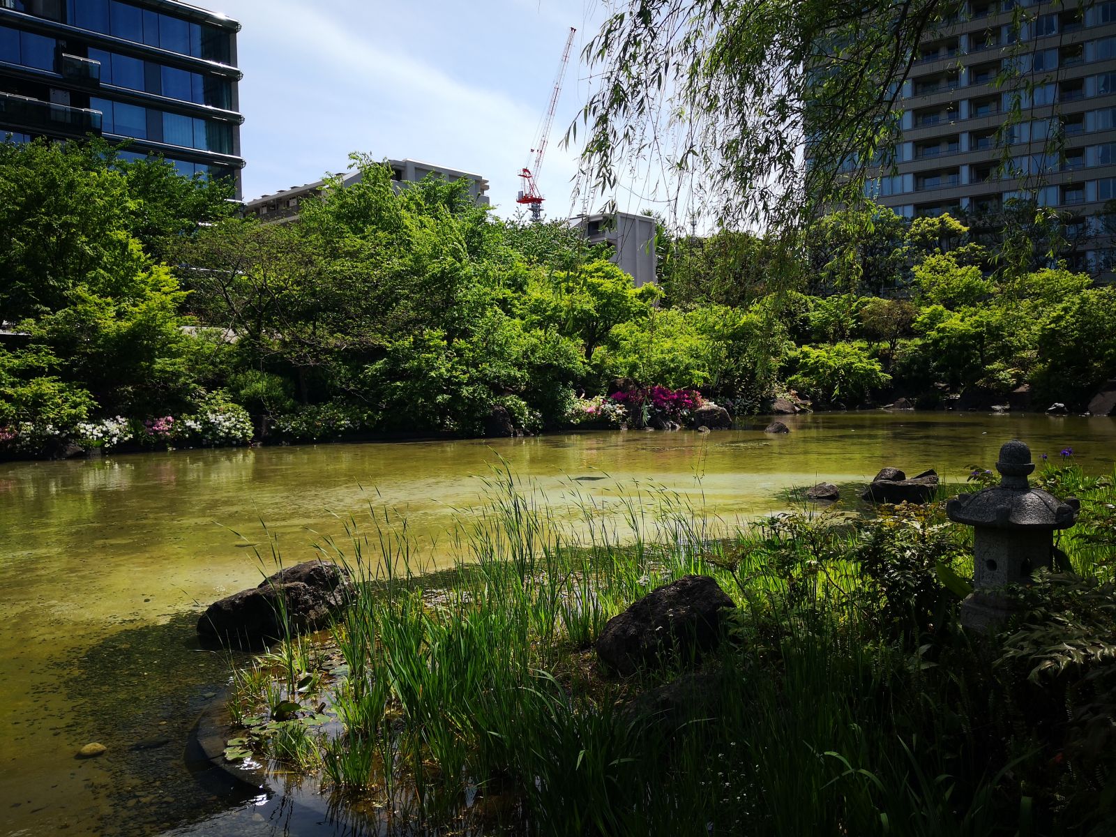 東京知名建筑與景觀參訪 與戶田芳樹大師對話