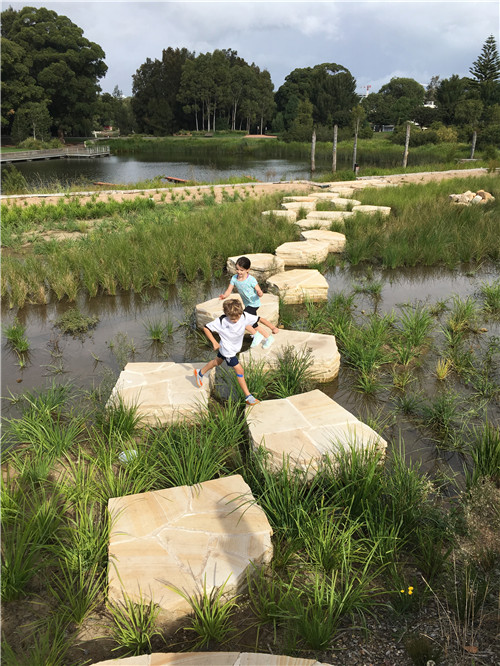 2019園冶杯專業(yè)獎大獎丨悉尼公園水再利用工程景觀設(shè)計